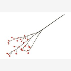 Brgren Orange H: 82 cm.