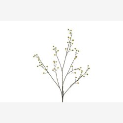 Brgren Grn H: 118 cm.