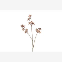 Eupatorium Beige H: 81 cm.