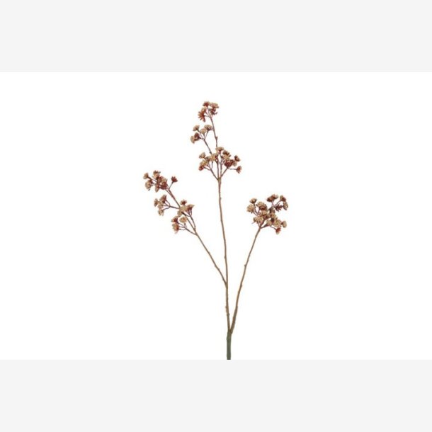 Eupatorium Beige H: 81 cm.