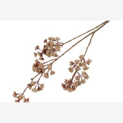 Eupatorium Beige H: 81 cm.