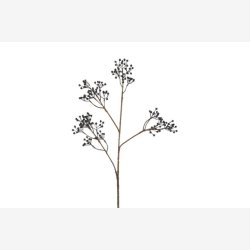 Ilex brgren Mrkebl H: 77 cm.