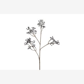 Ilex brgren Mrkebl H: 77 cm.