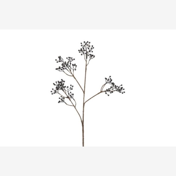 Ilex brgren Mrkebl H: 77 cm.