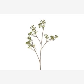 Ilex brgren Grn H: 77 cm.