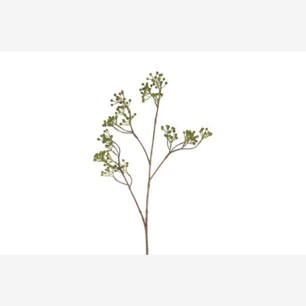 Ilex brgren Grn H: 77 cm.