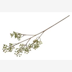 Ilex brgren Grn H: 77 cm.