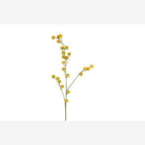 Trifolium Gren Gul H:89cm.