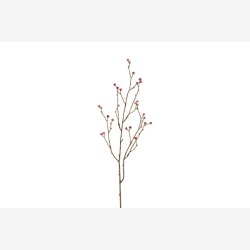 Mandstro Gren Rosa H:75cm.