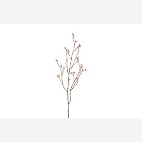 Mandstro Gren Rosa H:75cm.