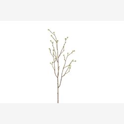 Mandstro Gren Gr�n H:75cm.