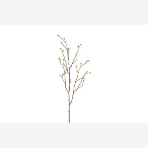 Mandstro Gren Gr�n H:75cm.