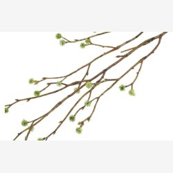 Mandstro Gren Gr�n H:75cm.