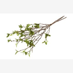 Betula Bundt 3 stk. H:56cm.