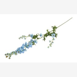 Ridderspore Lysebl� H:90cm.