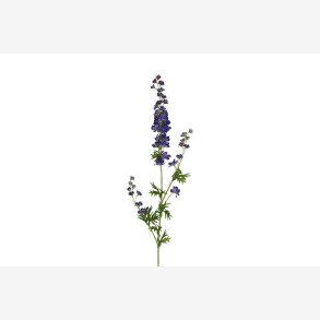 Ridderspore Bl� H:90cm.