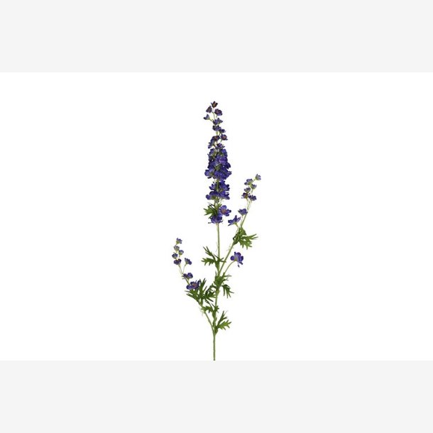 Ridderspore Bl� H:90cm.