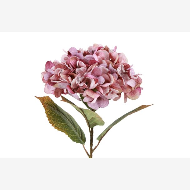 Barbara - Hortensia - Rosa - 64 cm