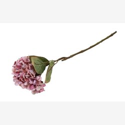 Barbara - Hortensia - Rosa - 64 cm