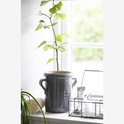 Ib Laursen glasske m/6 rum messing look B:16 H:8 L:21cm. 