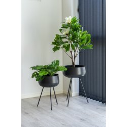 House Nordic - Ardola blomsteropsats, sort, st af 2 stk.