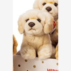 Teddy Hermann - Hund 4 assorterede farver 15 cm