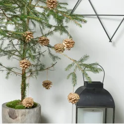 Speedtsberg kogler m/snor 12stk. pr. pose ca 5cm. guld