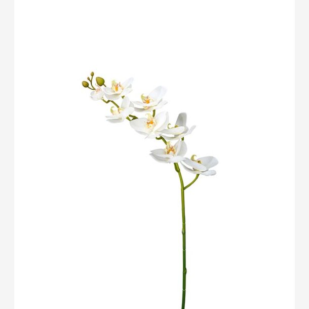 PH-Import - Kunstig Phalaenopsis, Orkide hvid, 75 cm