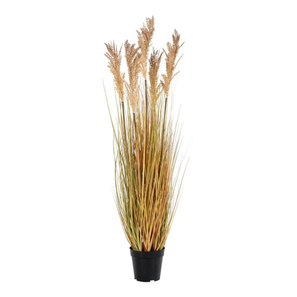 House Nordic - Sorghum Grass, kunstig plante 110 cm