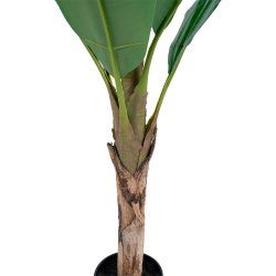 House Nordic - Kunstig bananpalme, 150 cm