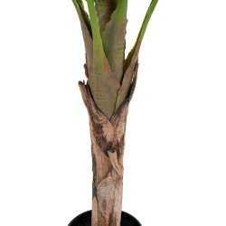 House Nordic - Kunstig bananpalme, 150 cm