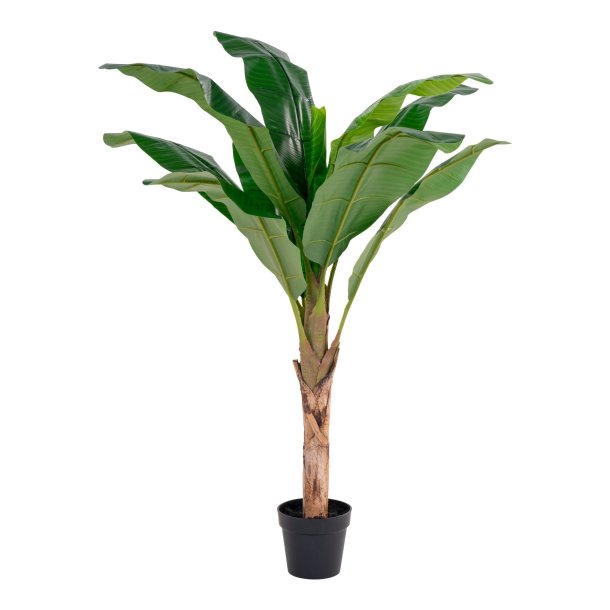 House Nordic - Kunstig bananpalme, 150 cm