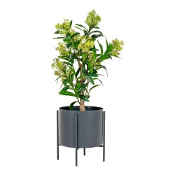 House Nordic - Kunstigt skimmia tr, 75 cm