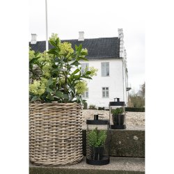 House Nordic - Kunstigt skimmia tr, 75 cm