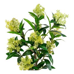 House Nordic - Kunstigt skimmia tr, 75 cm