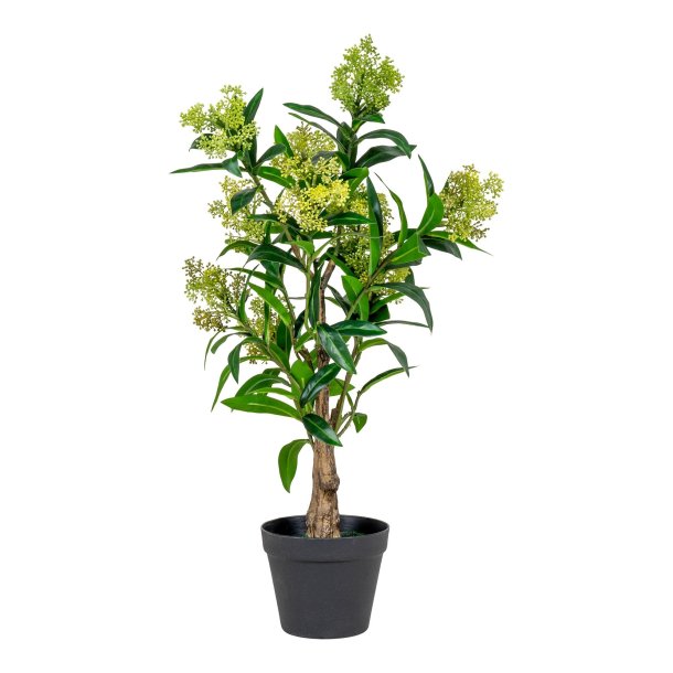 House Nordic - Kunstigt skimmia tr, 75 cm