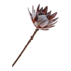 House Nordic - King Protea kunstig buket, 74 cm