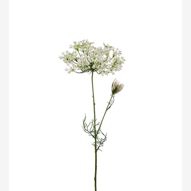 PH-Import - Kunstig Allium blomst, hvid, 70 cm