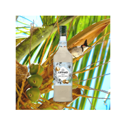 Giffard Coconut Syrup