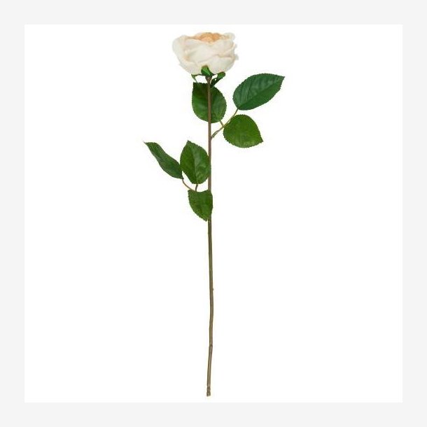 Ib Laursen - Rosenstilk i plastik 50x7cm, Beige