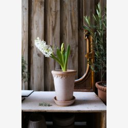 Bergs Potter Kbenhavner RAW rosa rosenpotte : 18cm. inkl. underskl