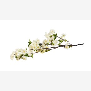 La Vida - Kirseb�rgren L:90cm. Hvid