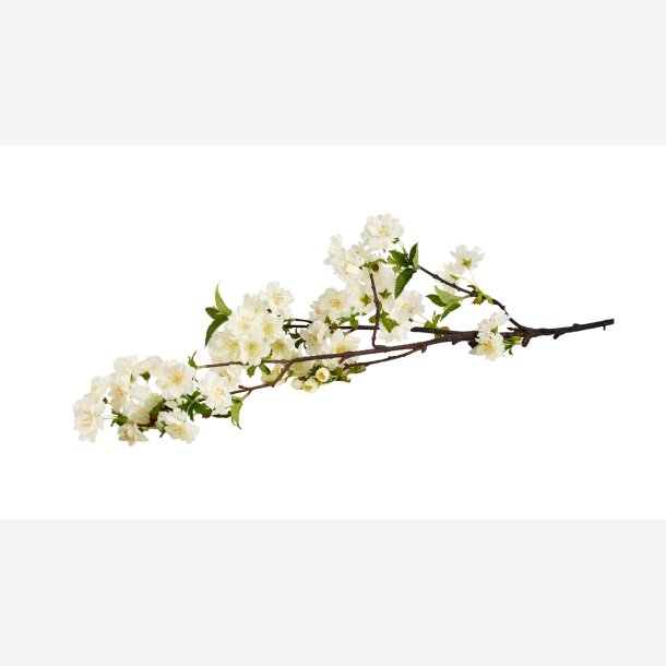 La Vida - Kirseb�rgren L:90cm. Hvid