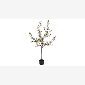 La Vida - Kirseb�rtr� H:150 cm. Pink