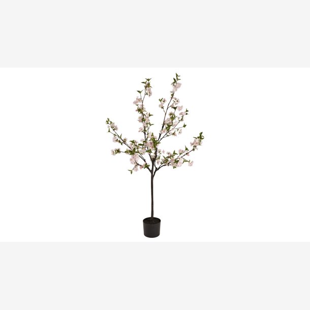 La Vida - Kirseb�rtr� H:150 cm. Pink