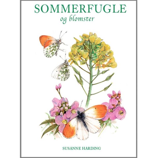 Koustrup&Co. - Bog Sommerfugle og Blomster