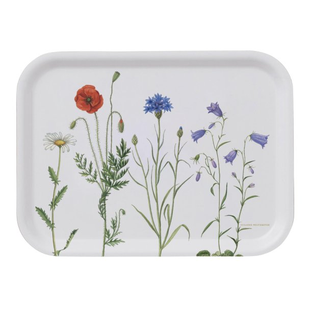 Koustrup &amp; Co - Serveringsbakke Gr�ftekant 20 x 27 cm