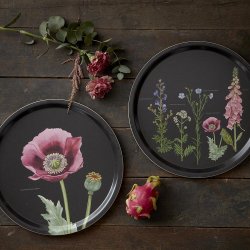 BAKKE 38 - PINK VALMUE