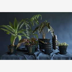 Bergs Potter Kbenhavner urtepotte Petroleums bl 14 cm