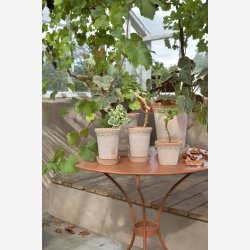 Bergs Potter Kbenhavner RAW rosa rosenpotte : 18cm. inkl. underskl